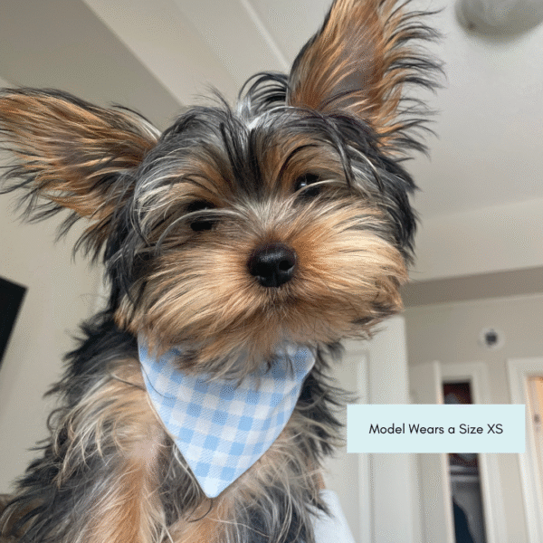 'Cutest Little Bean' Reversible Tie-on Bandana - Image 6