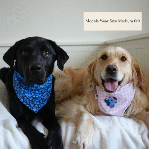 'Berry Special' Reversible Tie-on Bandana - Image 5