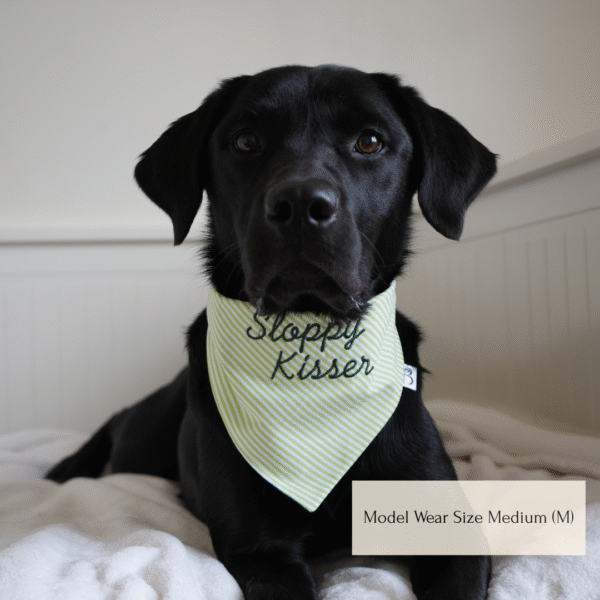 'Cutest Little Bean' Reversible Tie-on Bandana - Image 5