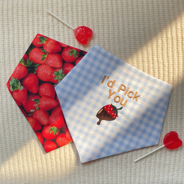 'Pick Me' Reversible Tie-on Bandana