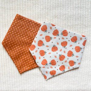 Pumpkin Patch Reversible Bandana
