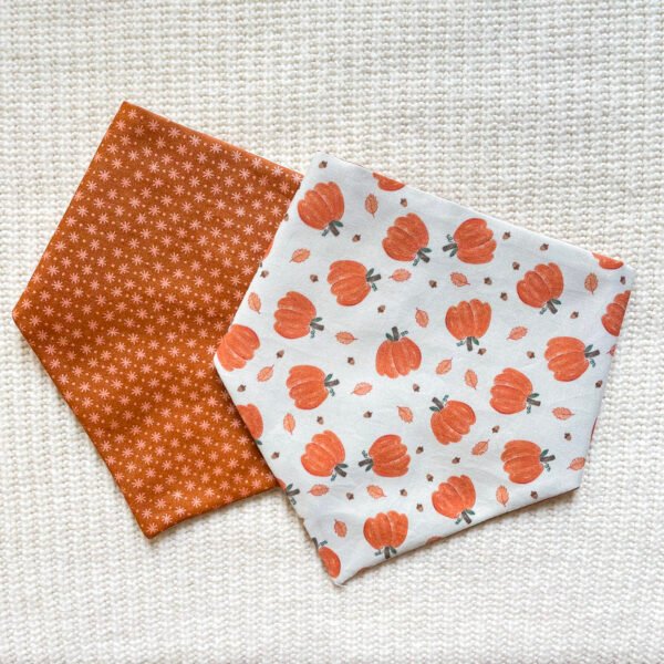 Pumpkin Patch Reversible Bandana
