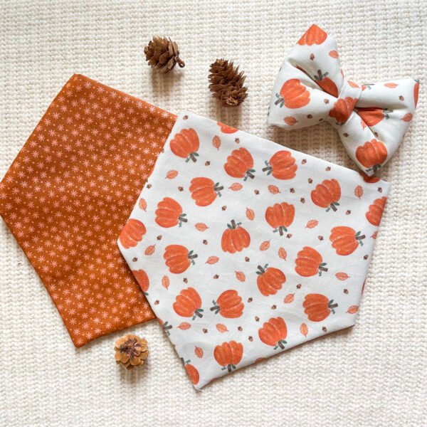 Pumpkin Patch Reversible Bandana - Image 2