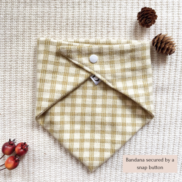 Brown Butter Bandana - Image 2